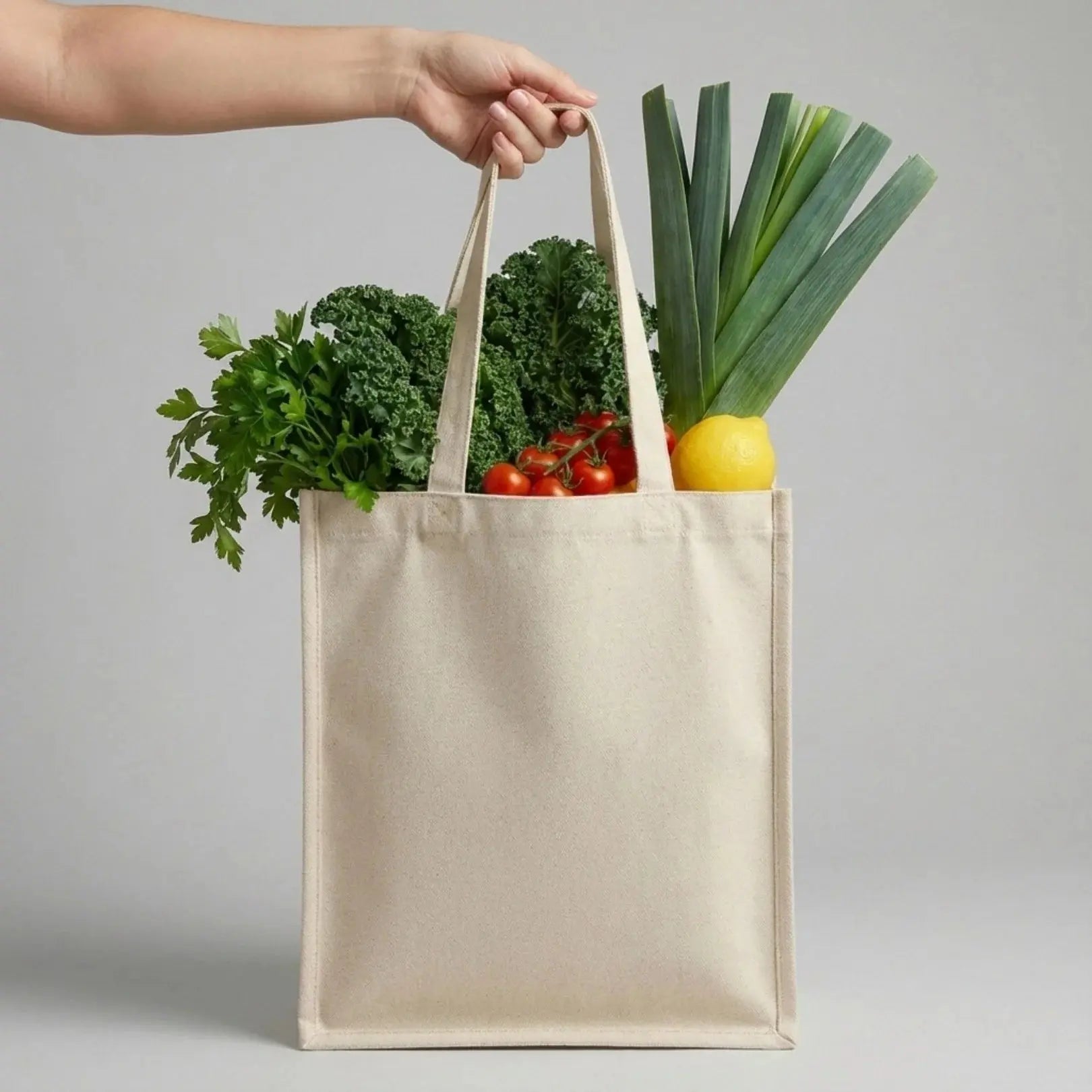 Reusable Cotton Canvas Bag Shudhkart